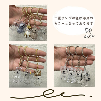 いぬけだま ケース キーホルダー 犬毛玉 入れ 犬毛収納ボックス 12種類 - 【公式】allecore(アレコレ) 家具インテリア・生活雑貨のオンライン通販