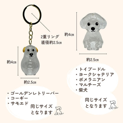 いぬけだま ケース キーホルダー 犬毛玉 入れ 犬毛収納ボックス 12種類 - 【公式】allecore(アレコレ) 家具インテリア・生活雑貨のオンライン通販