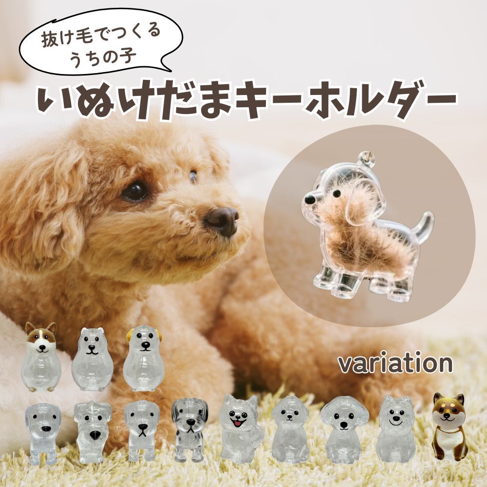 いぬけだま ケース キーホルダー 犬毛玉 入れ 犬毛収納ボックス 12種類