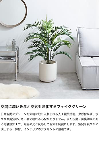 新商品】観葉植物 アレカヤシ ヤシ フェイクグリーン 人工 グリーン | 【公式】allecore(アレコレ) 家具インテリア・生活雑貨のオンライン通販