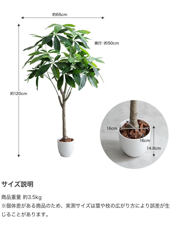 新商品】観葉植物 パキラ フェイクグリーン 人工 室内 グリーン | 【公式】allecore(アレコレ) 家具インテリア・生活雑貨のオンライン通販