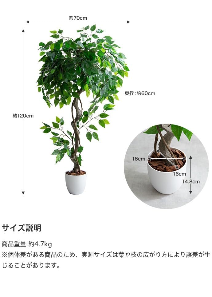 光触媒　人工観葉植物　フェイクグリーン　テーブル ベンジャミン 55cm 光触媒 人工観葉植物 フェイクグリーン テーブル ベンジャミン 55cm 新