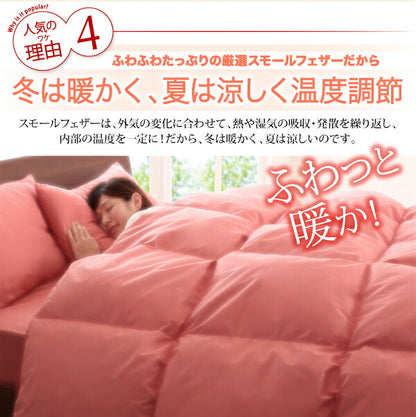 3年保証 新20色羽根布団8点セット ベッドタイプ ダブル11点セット 送料無料