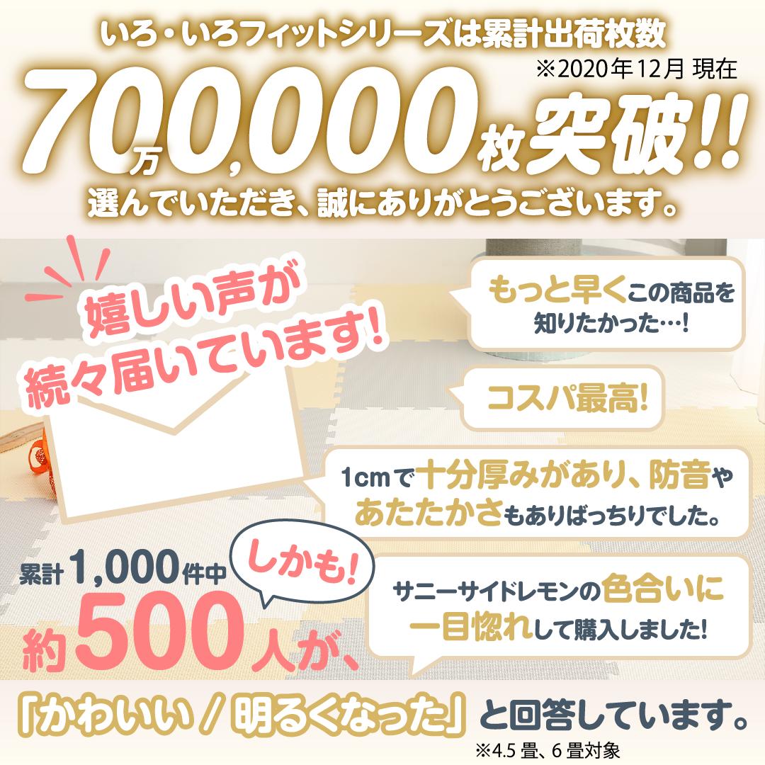 ジョイントマット いろ・いろフィット 45cm角 10mm厚 尺五 12枚 1.5畳 送料無料