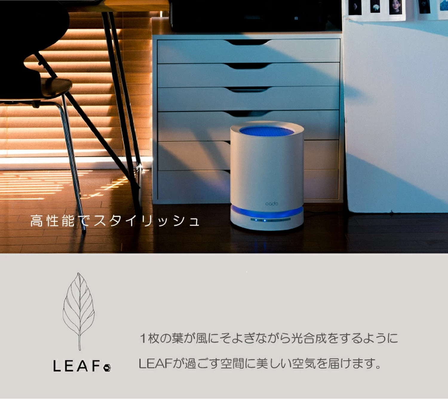 cado カドー 空気清浄機 LEAF 120 ホワイト ~約15畳用 AP-C120 cado カドー 空気清浄機 LEAF 120 ホワイト ~約15畳用 AP-C120